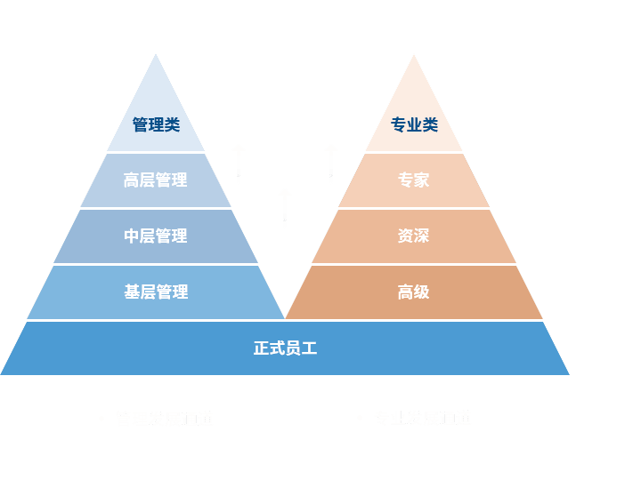 ng28南宫 